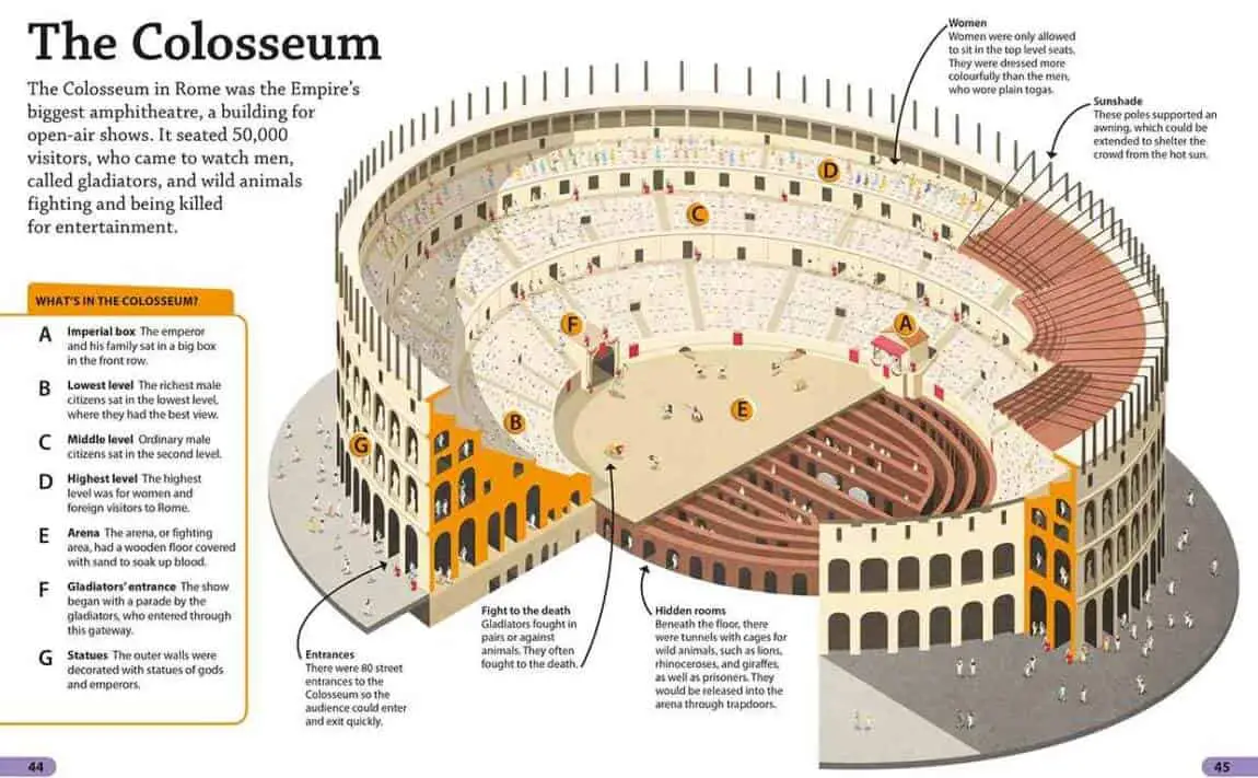 Roman Colosseum Layout: The Complete Guide - Travel With Sheemelle